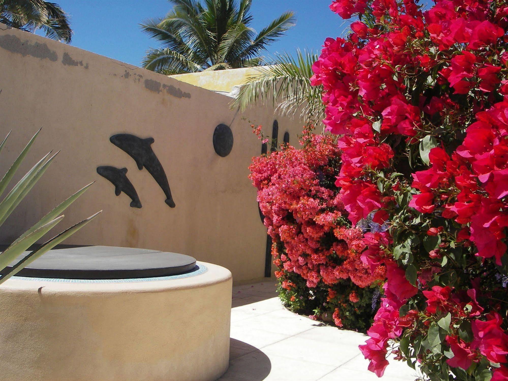 לה פז Casa Kootenay Waterfront Bnb מראה חיצוני תמונה